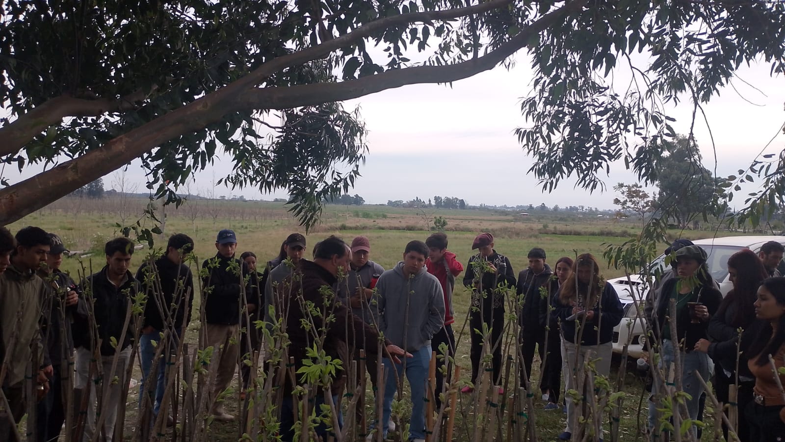Estudiantes conocieron de cerca el proceso productivo de la nuez pecán