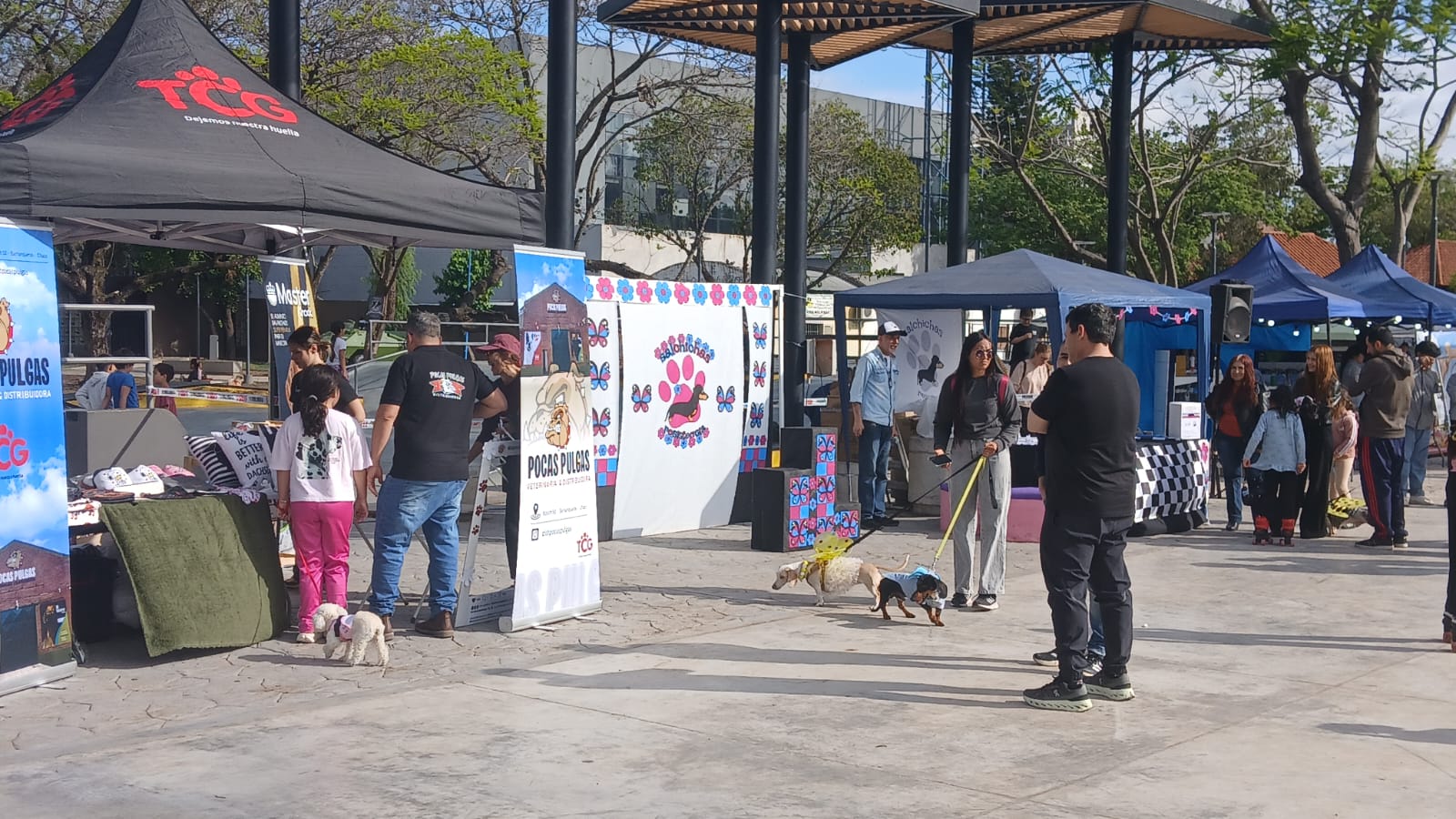 El SalchiEncuentro reunió a vecinos y sus mascotas en el Parque 2 de Febrero