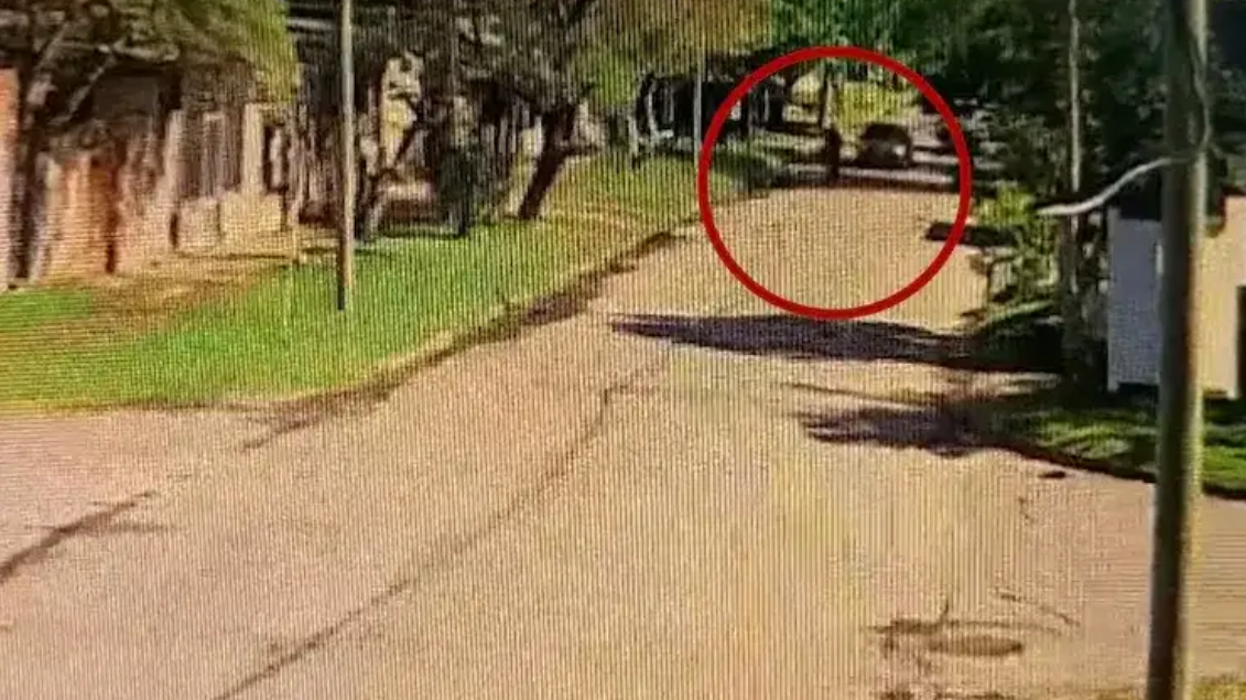 Una discusión terminó en tragedia: lo atropellaron mientras iba en bicicleta.