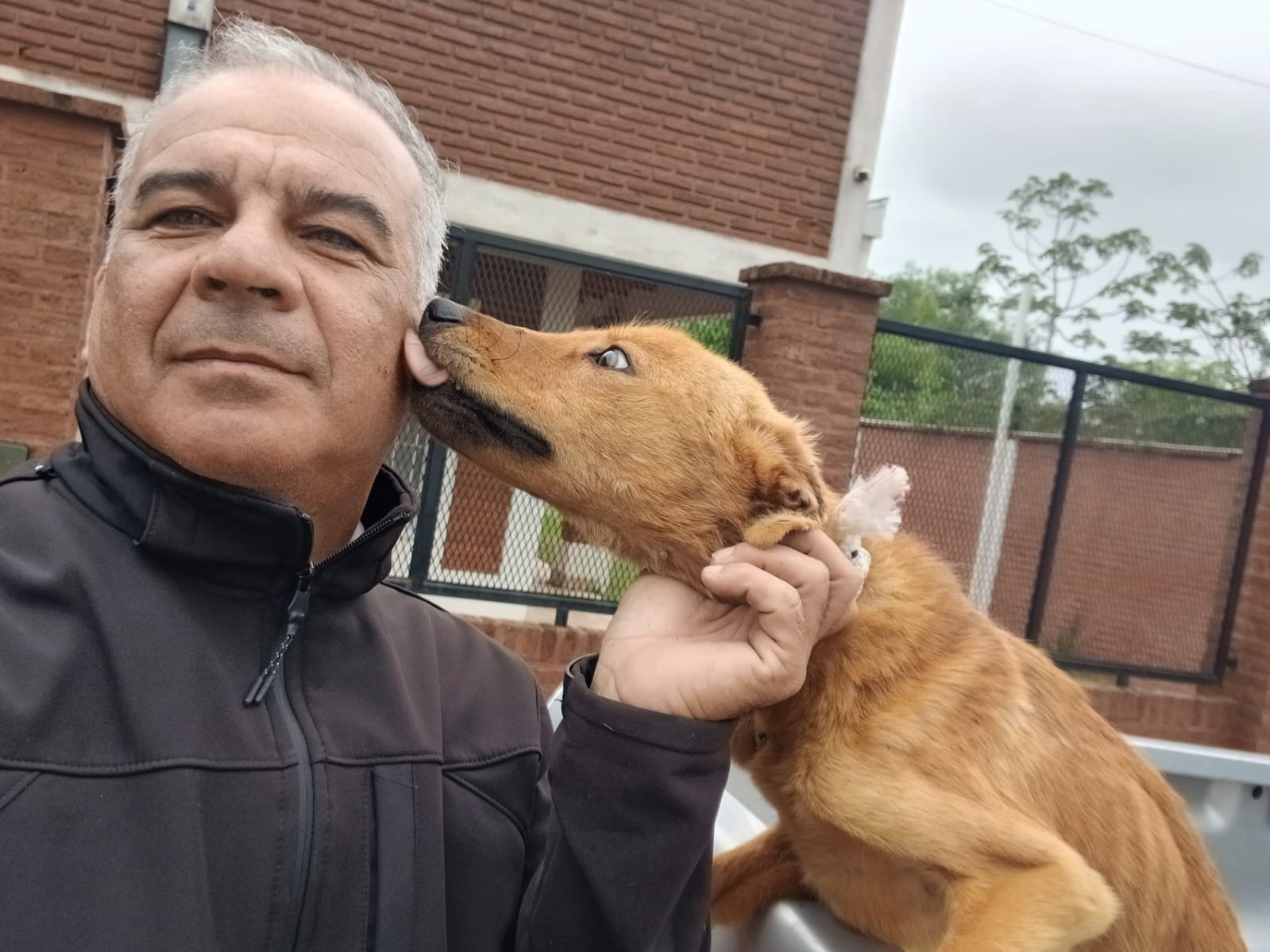 RESCATARON A CUATRO CANINOS EN MAL ESTADO DE SALUD TRAS DOS ALLANAMIENTOS EN CORRIENTES